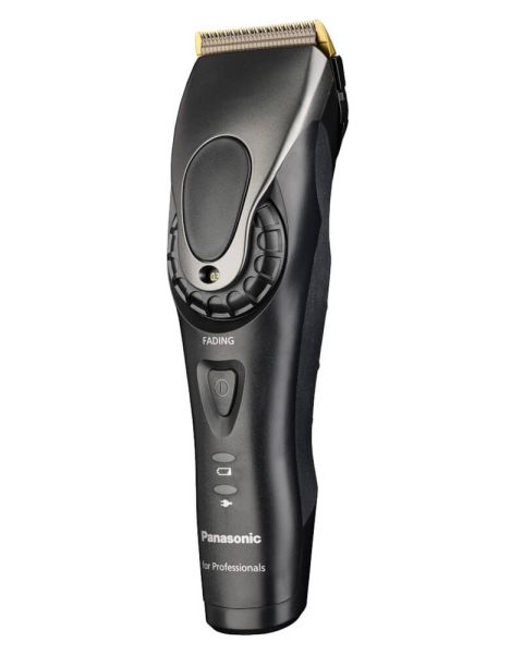 PANASONIC DGP 86