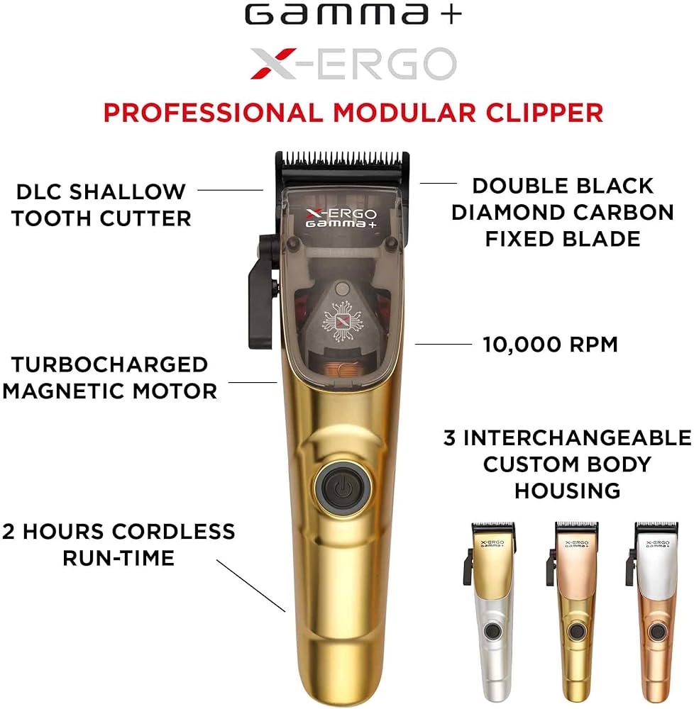 GAMMA+ X-ERGO